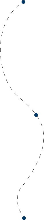 immigration star testimonials