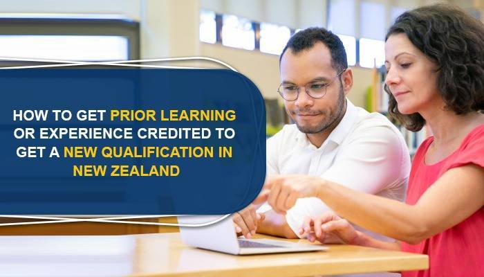 study in new zealand