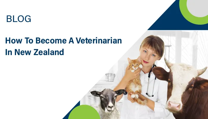 Become Veterinarian in NZ