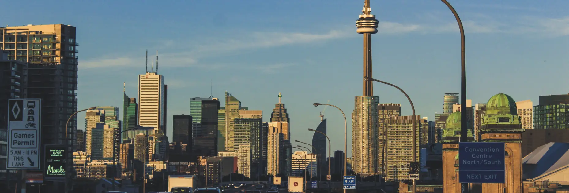 new zealand visa consultant